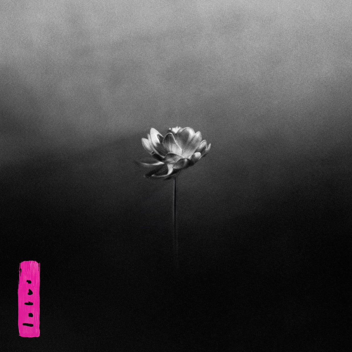 Little Simz Lotus Electric Pink Double Heavyweight Viny