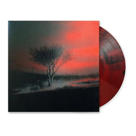 Joji Piss In The Wind Ruby Black Wave Colored Vinyl Edition