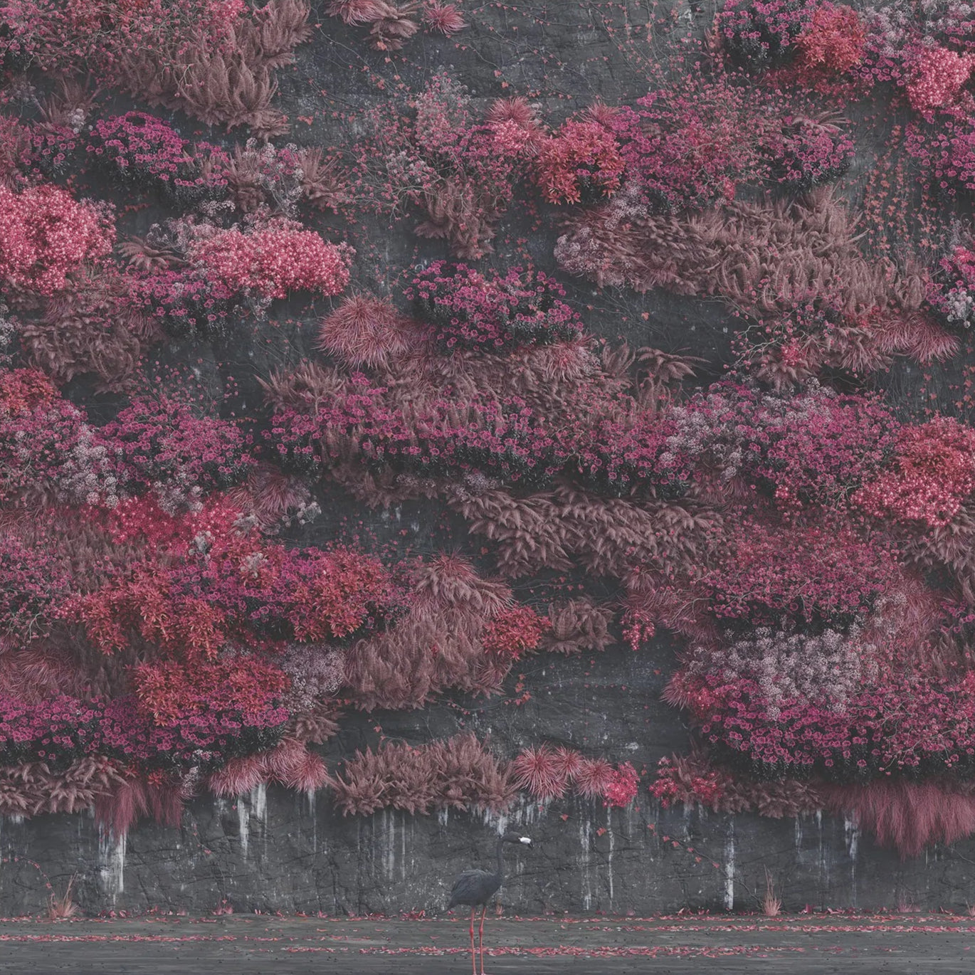 Even In Arcadia: Limited Metallic Gold 2LP