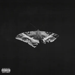 Kendrick Lamar To Pimp A Butterfly Exclusive Translucent Vinyl (10 Year Anniversary Edition) - Alternate Artwork